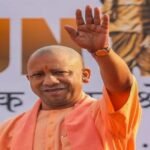 yogi