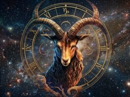 मकर राशि वालों के विदेश से संबंधित काम बनेंगे, रिसर्च से जुड़े काम में लाभ होगा